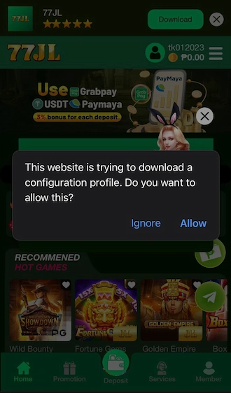 Step 3: Your phone displays a message that the website is trying to load a profile. Click Allow on this message.